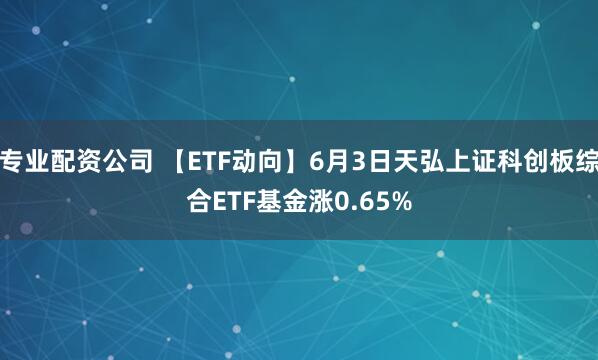 专业配资公司 【ETF动向】6月3日天弘上证科创板综合ETF基金涨0.65%